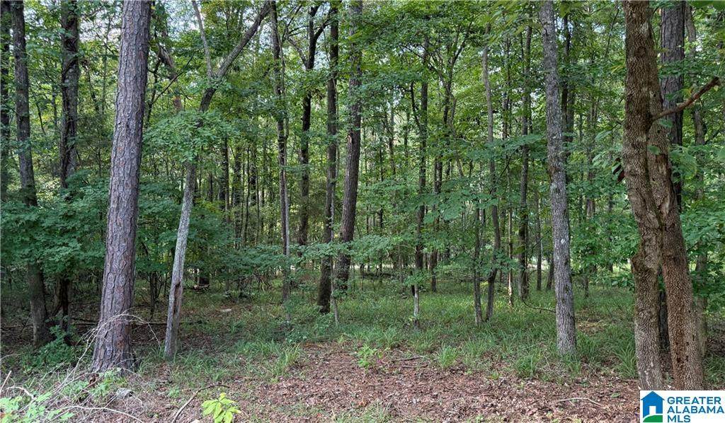 0 Bridewell Circle - Photo 1