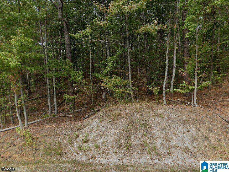 15065 Lock 17 Road - Photo 1