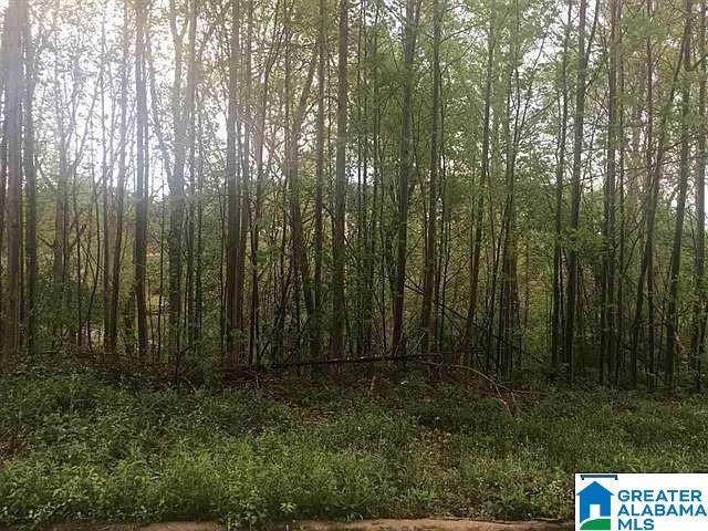 6783 Ivy Way - Photo 1