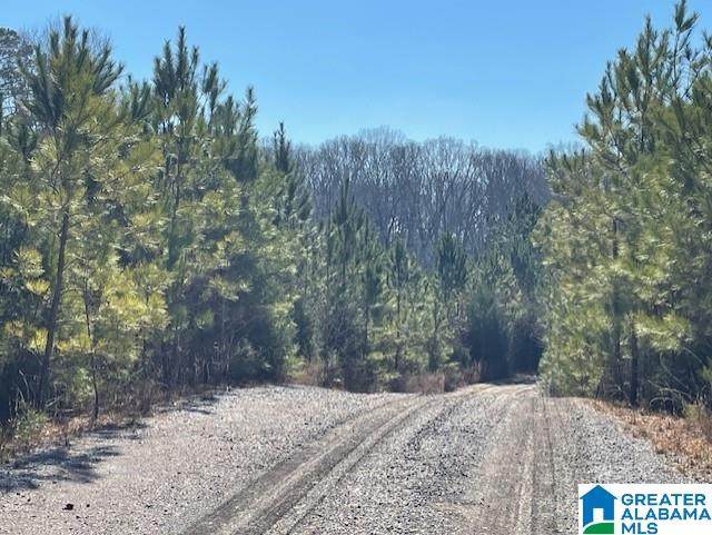  Sansing Circle - Photo 1