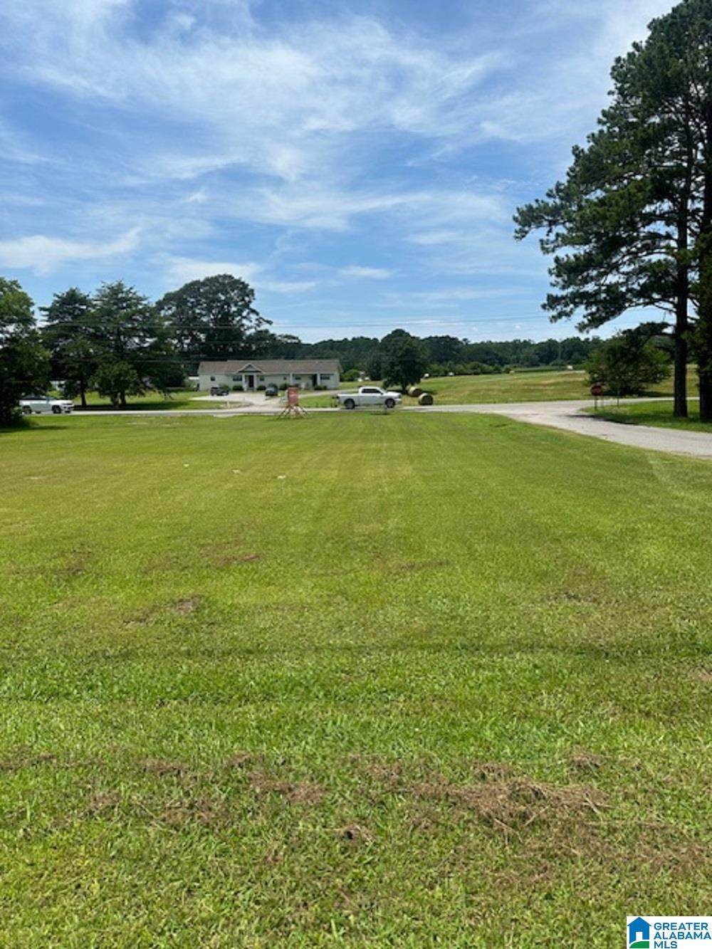 0 County Road 437 - Photo 1