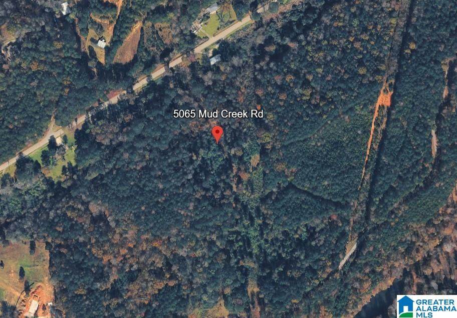 5065 Mud Creek Road - Photo 1