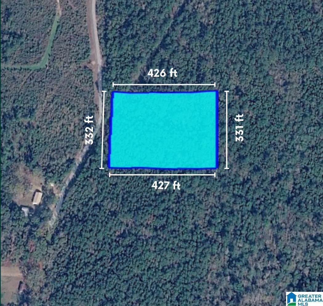 0 Cobb Lane - Photo 1