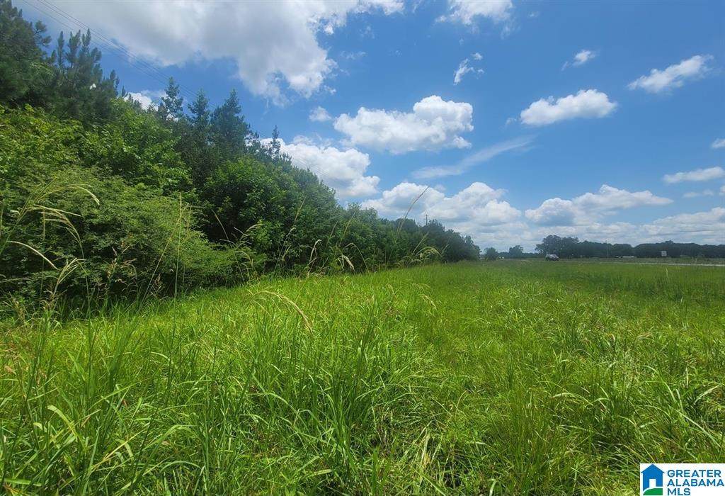 0 Highway 280 - Photo 1