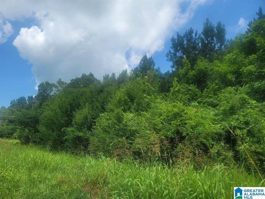 https://bt-photos.global.ssl.fastly.net/birmingham/orig_boomver_1_21442737-2.jpg