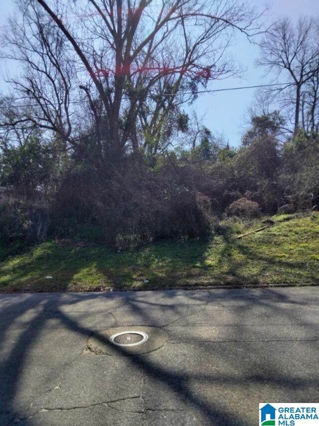 0 Dr L.C. Mcmillian Avenue - Photo 1