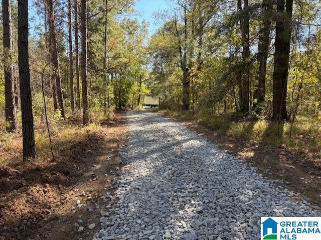  Us Hwy 231 - Photo 1