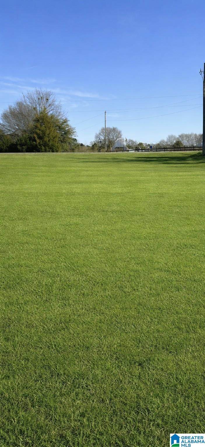 Lot 8 County Road 1002 - Photo 1