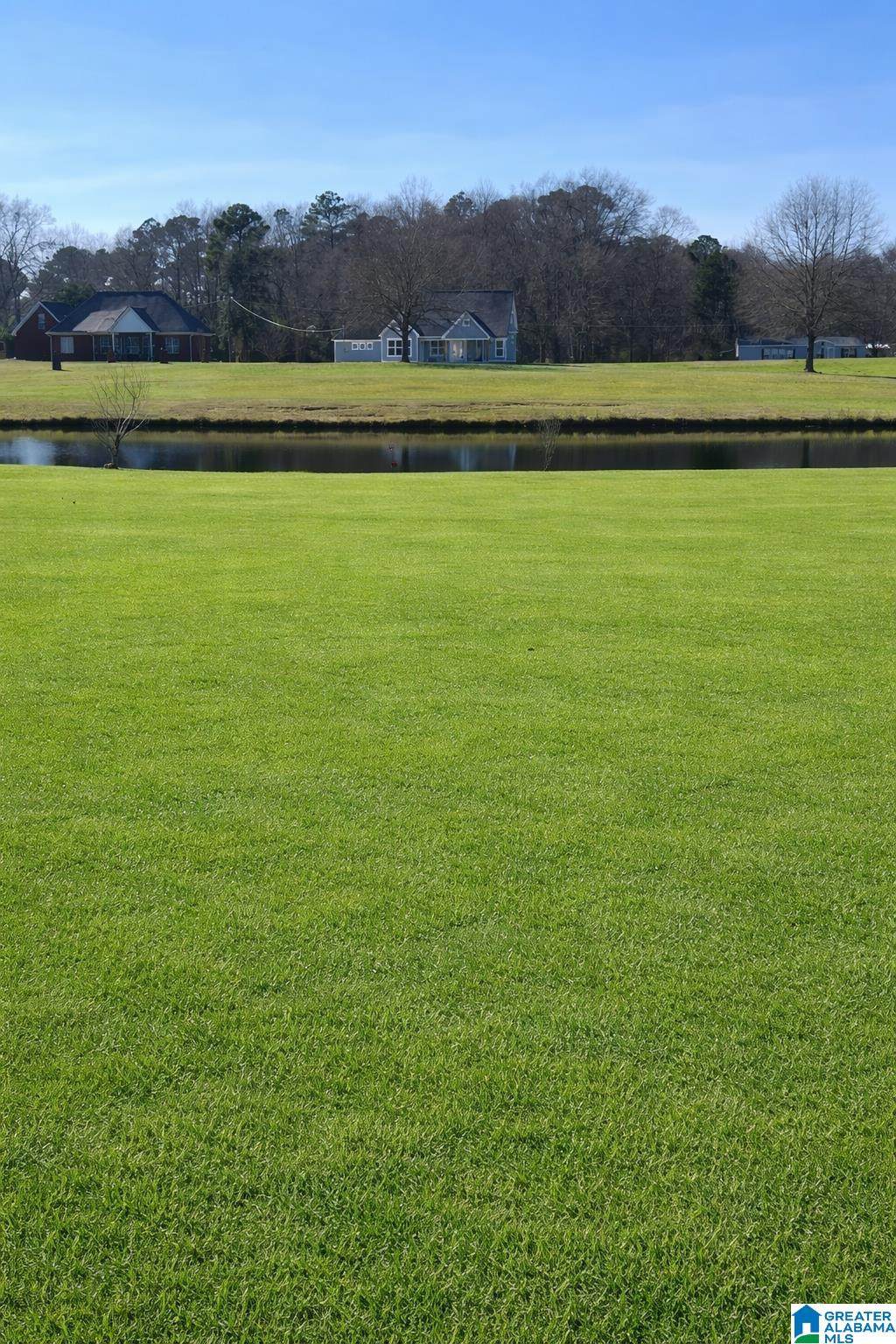 Lot 6 County Road 429 - Photo 1