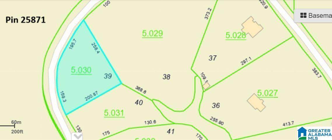 Lot 39 Sipsey Pines Road - Photo 1