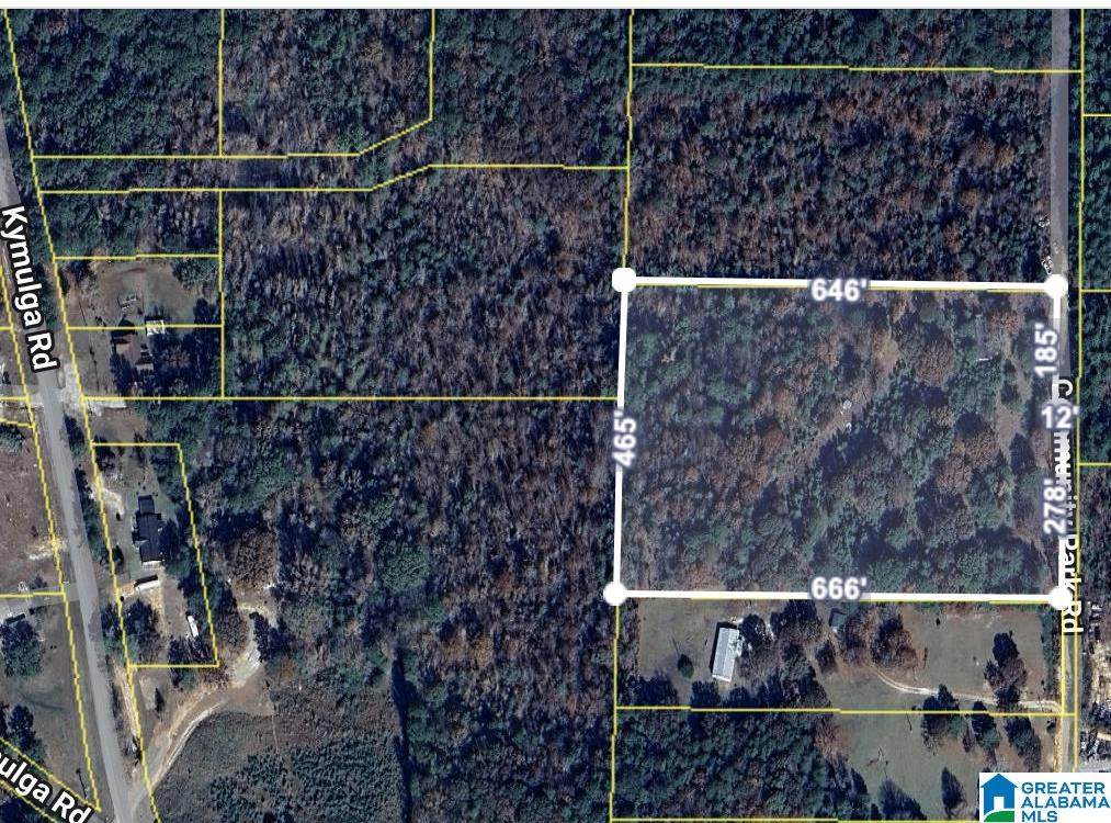 401 Community Park Road - Photo 1