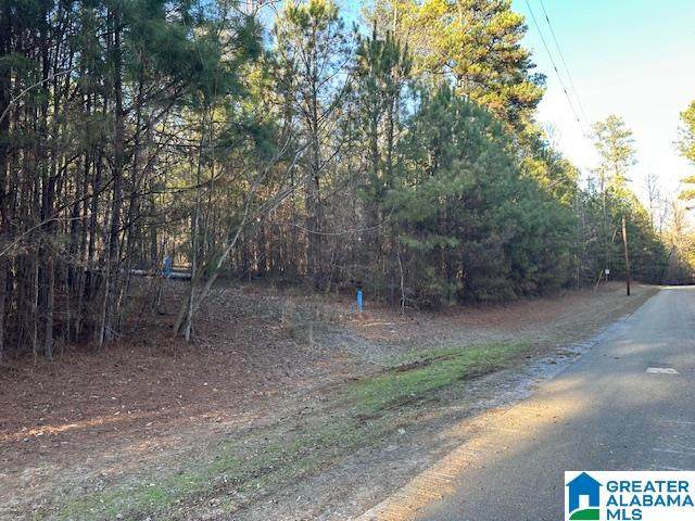 Lot 13 County Road 730 - Photo 1