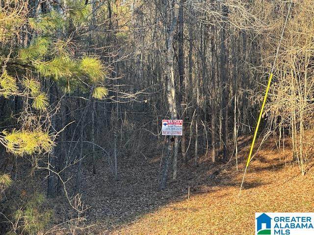 https://bt-photos.global.ssl.fastly.net/birmingham/orig_boomver_1_21446823-2.jpg