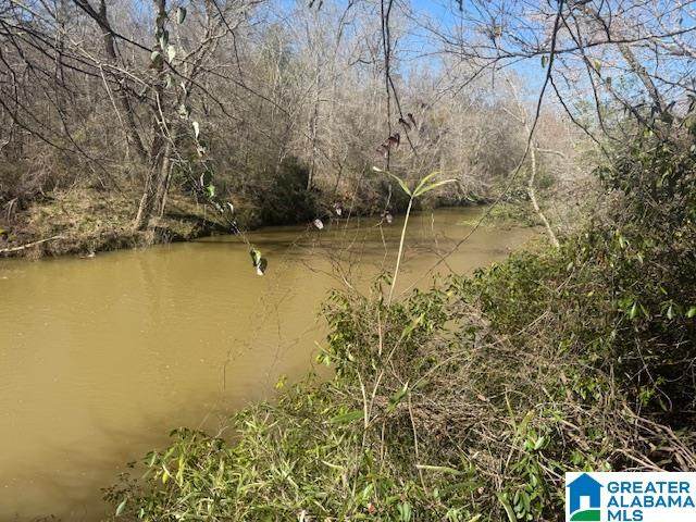 Pate Road - Photo 1