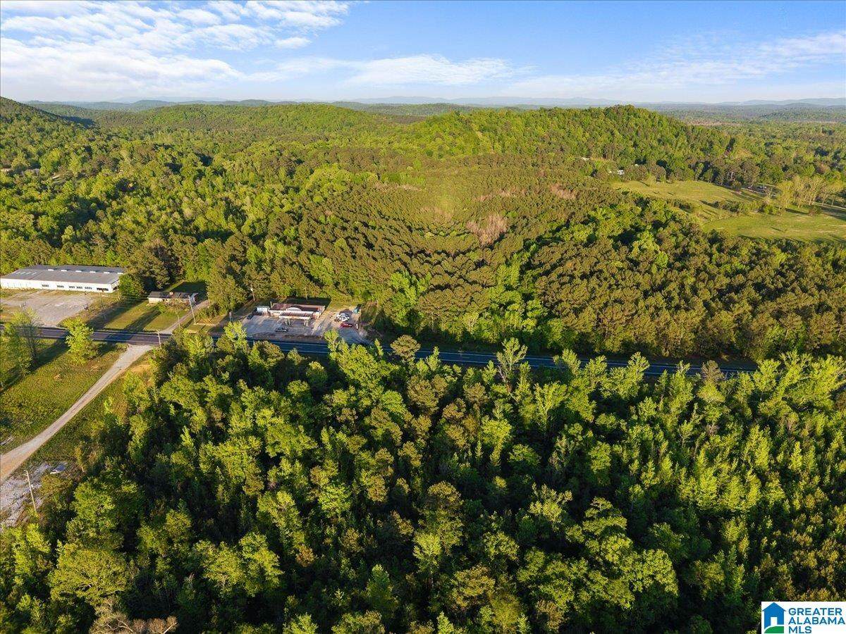 42 acres Alabama Highway 77 - Photo 1