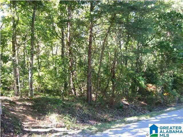 8974 Woodhaven Drive - Photo 1