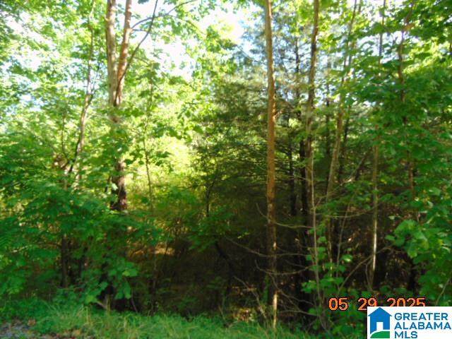 0 County Road 43 - Photo 1