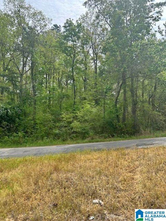 Lot 11 County Road 3902 - Photo 1