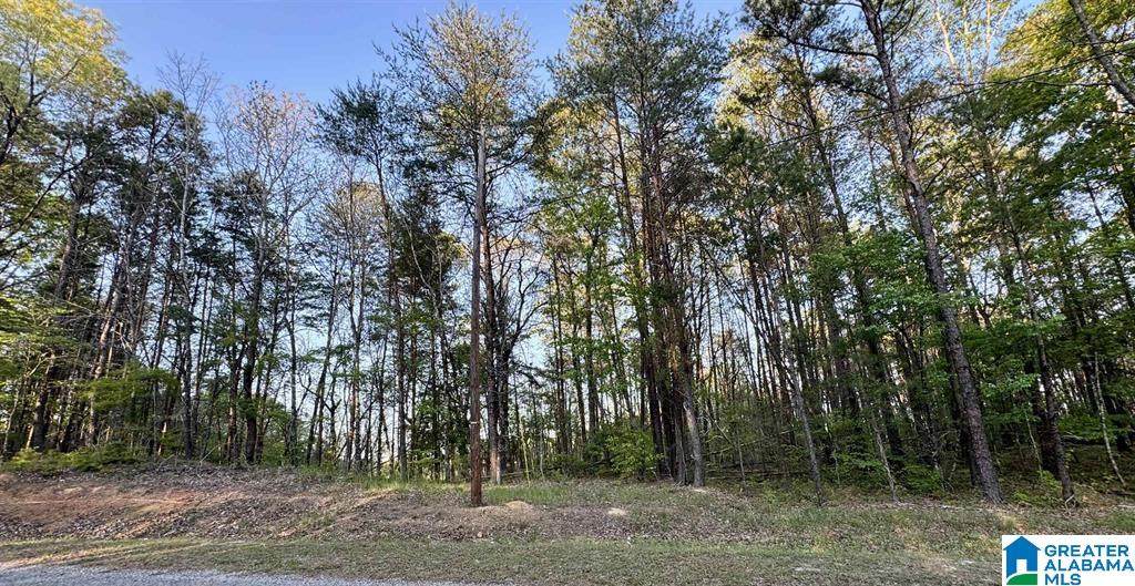 1485 Hiawatha Road - Photo 1