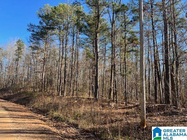0 Creek Road - Photo 1