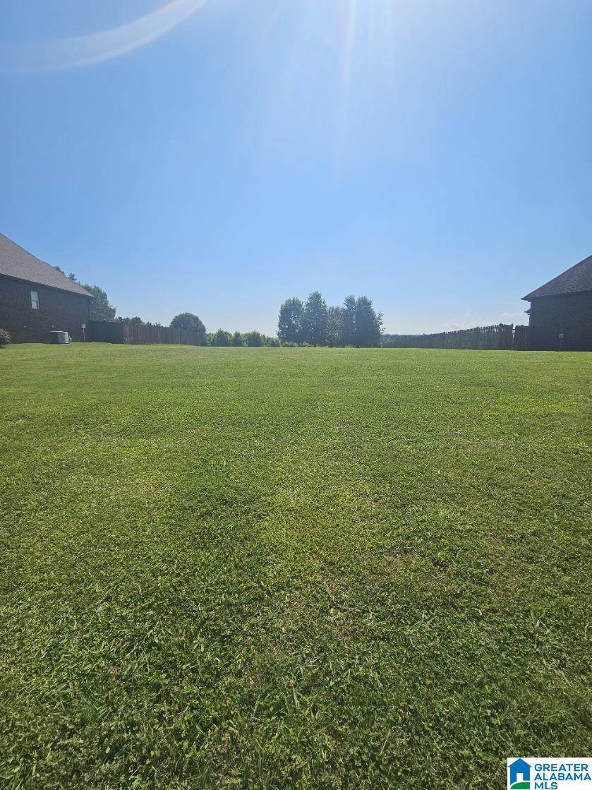 560 Willow Branch Road - Photo 1