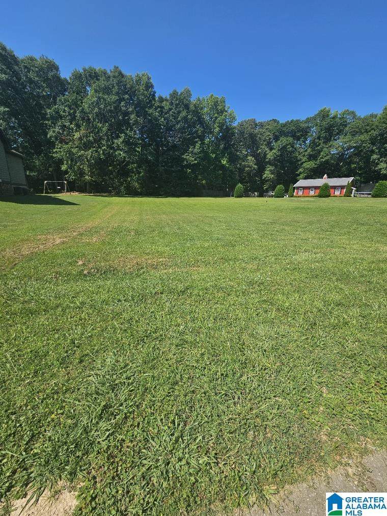 525 Willow Branch Road - Photo 1