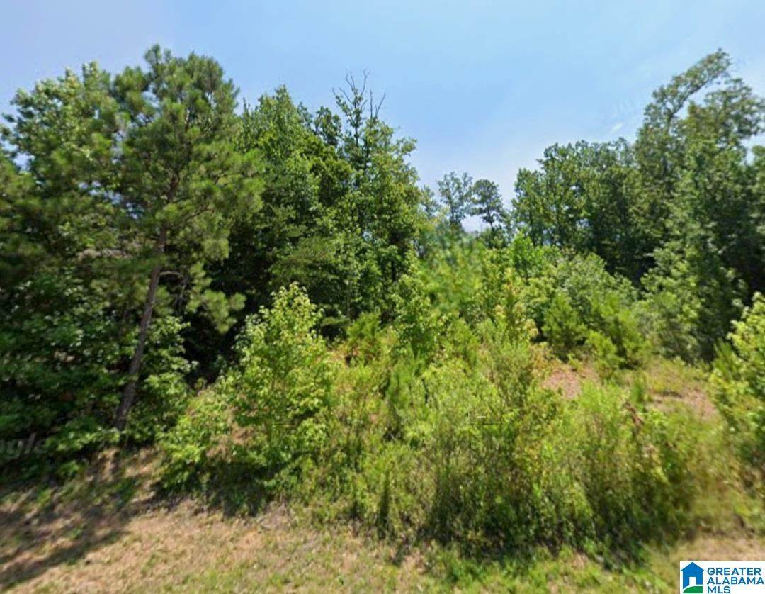 6130 Eagle Point Circle - Photo 1