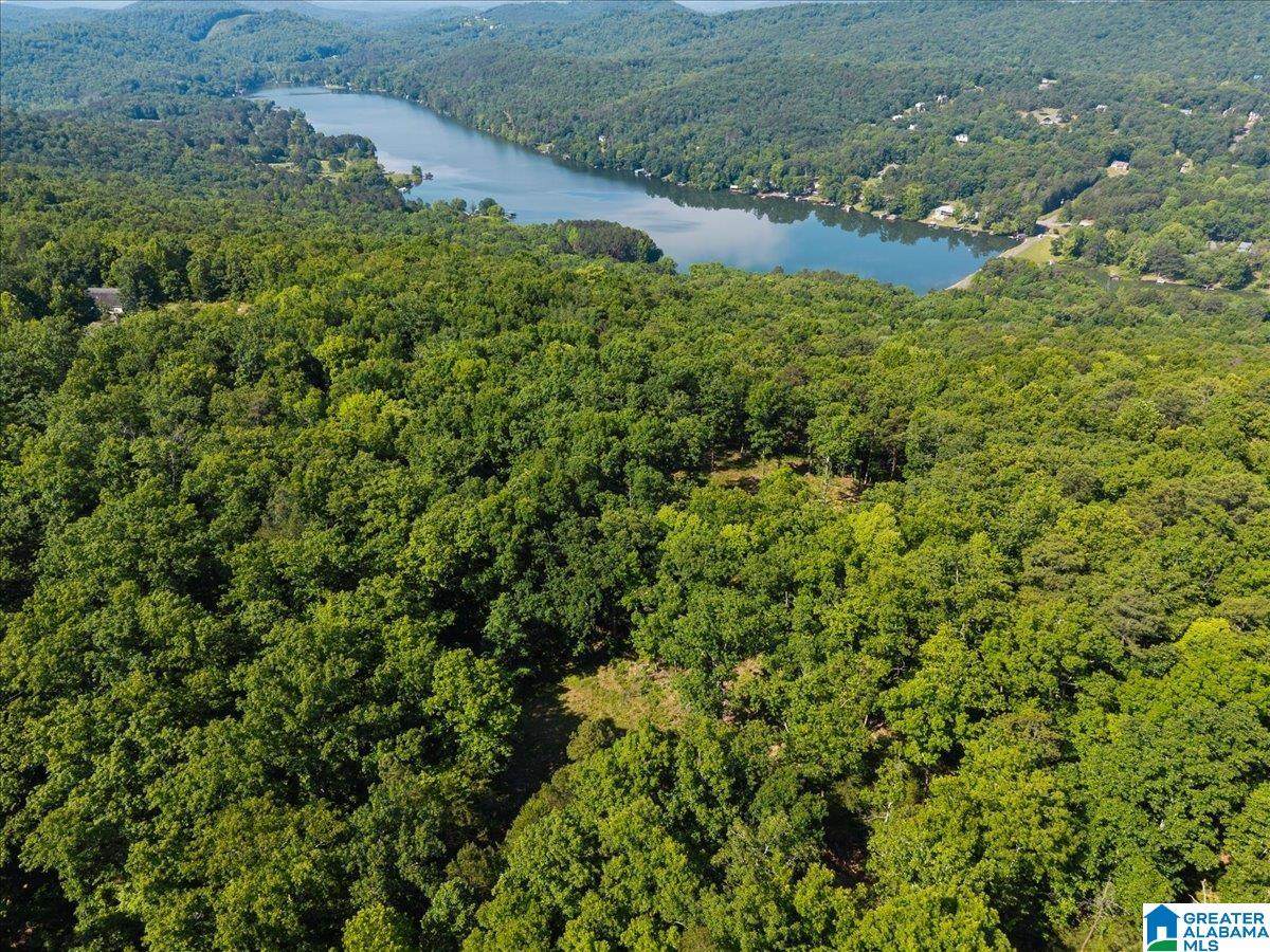 8924 Pine Mountain Road - Photo 1
