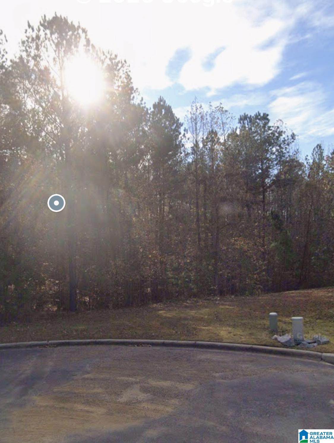 7703 Deer Trail - Photo 1