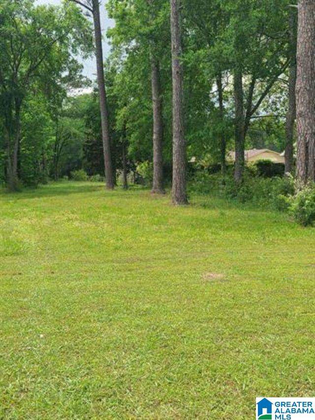 6114 Spruce Drive - Photo 1