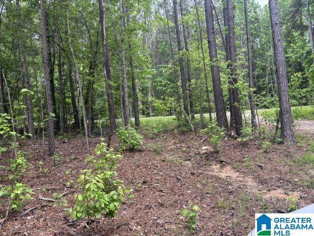 343 County Road 892 - Photo 1