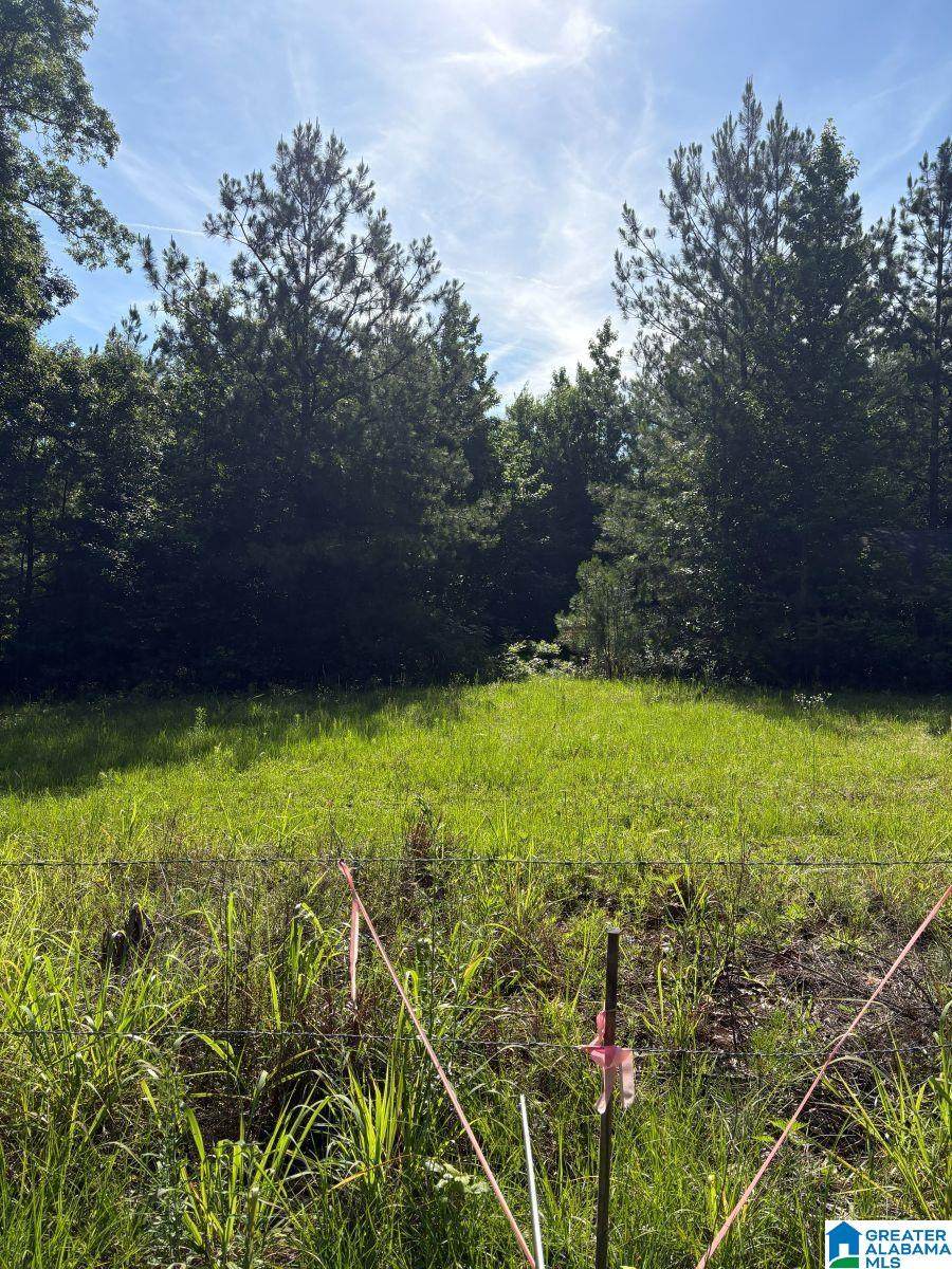 988 County Road 123 - Photo 1