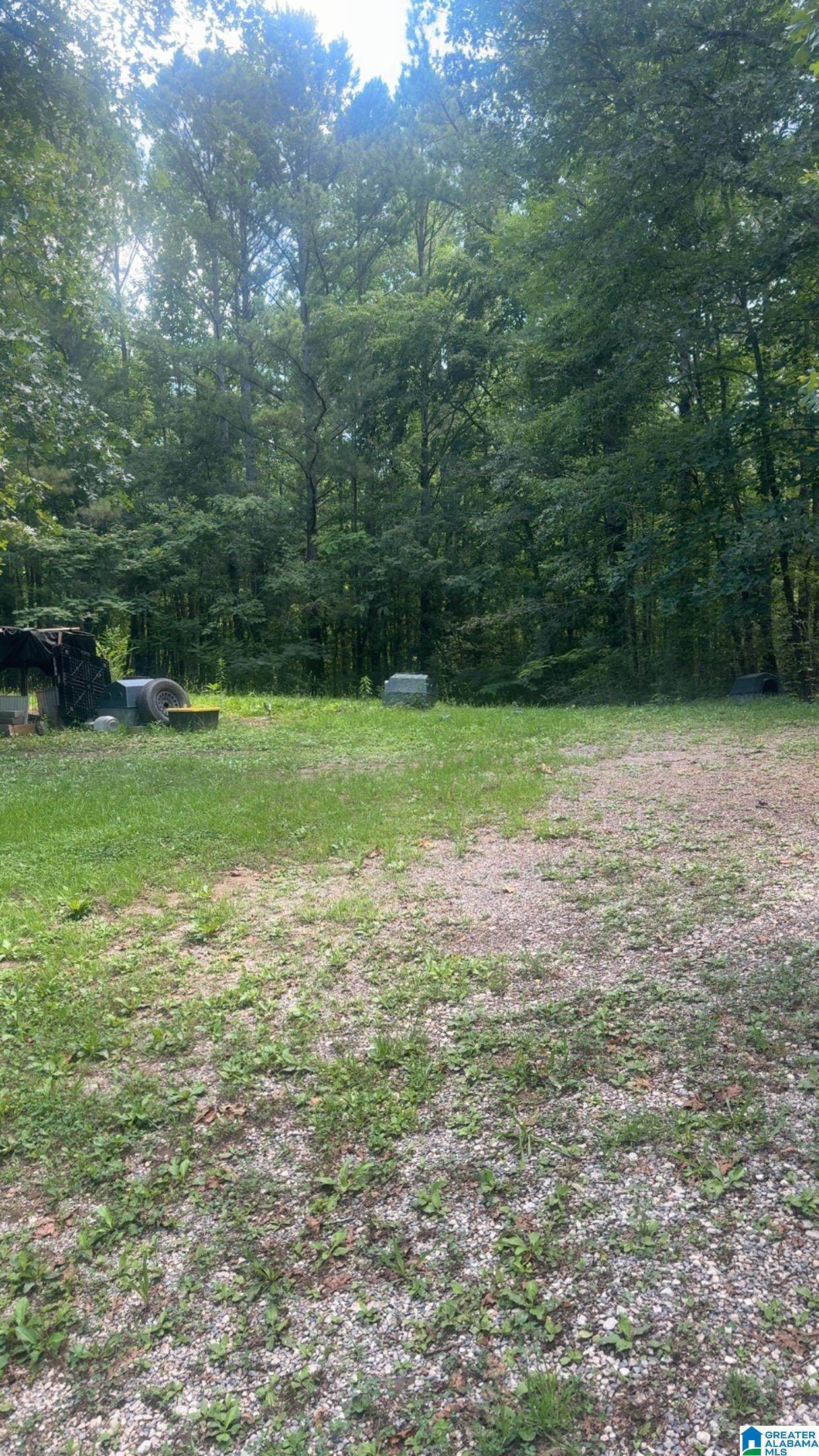 201 Norton Road - Photo 1
