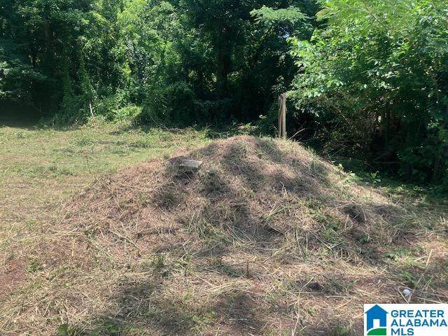 4107 & 4109 Edwards Street - Photo 1