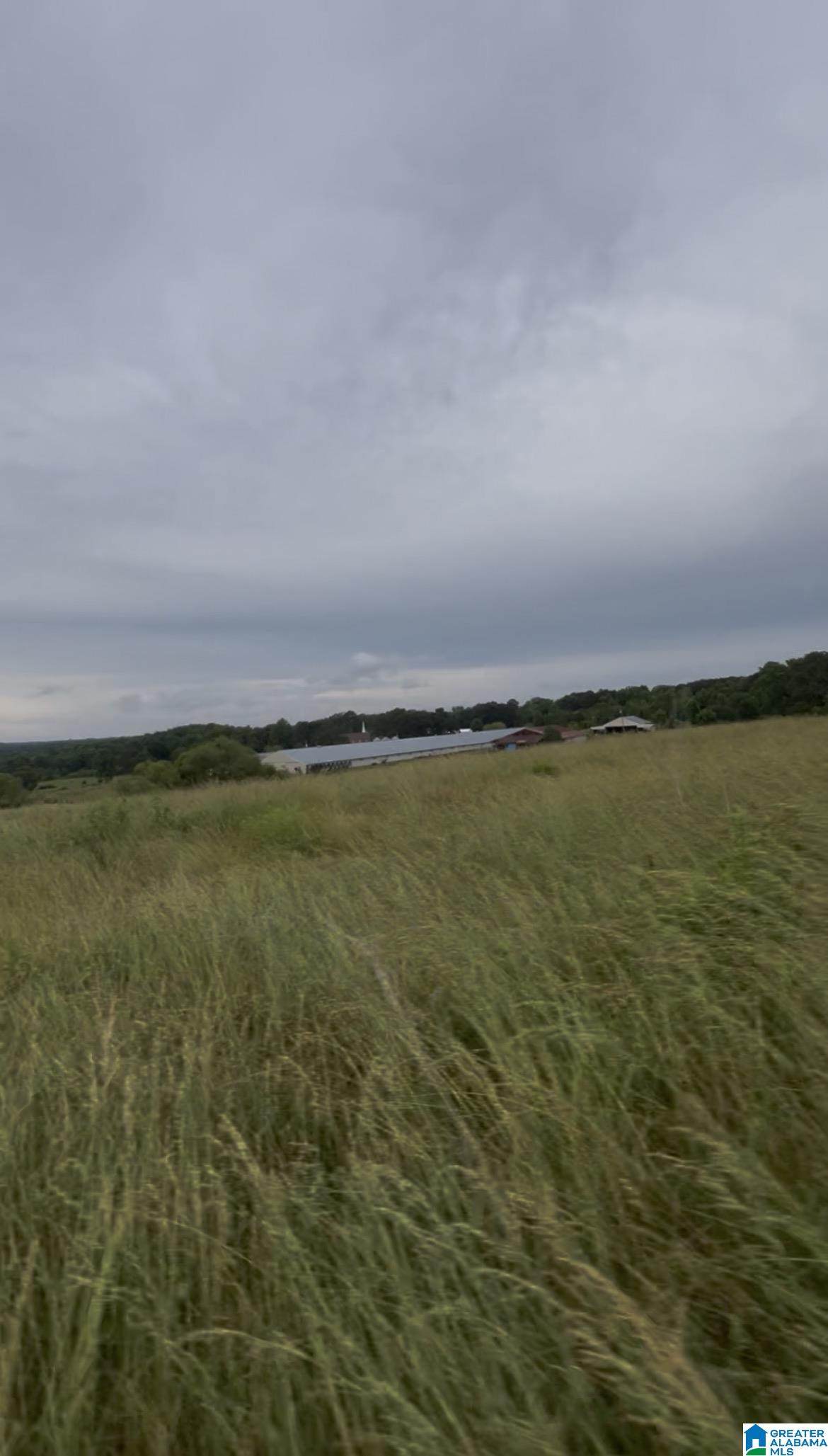 121 Black Bottom Road - Photo 1