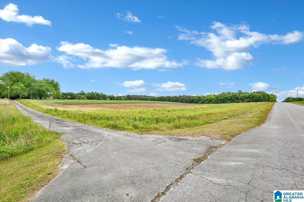 900 County Road 1466 - Photo 1