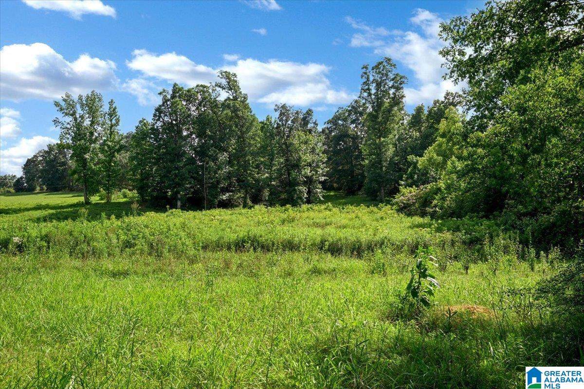0 County Road 783 - Photo 1