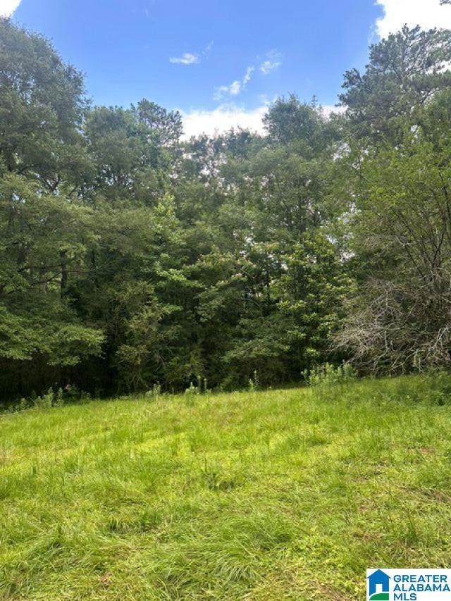 191 Ball Park Lane - Photo 1