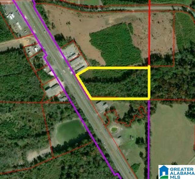 8 acres Highway 280 - Photo 1