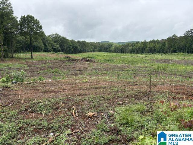 13 acres Highway 280 - Photo 1