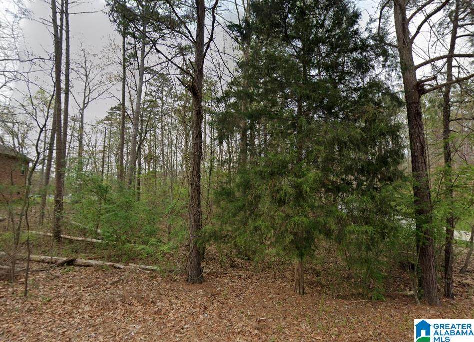0 Woodland Avenue - Photo 1