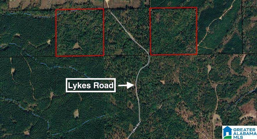 0 Lykes Road - Photo 1