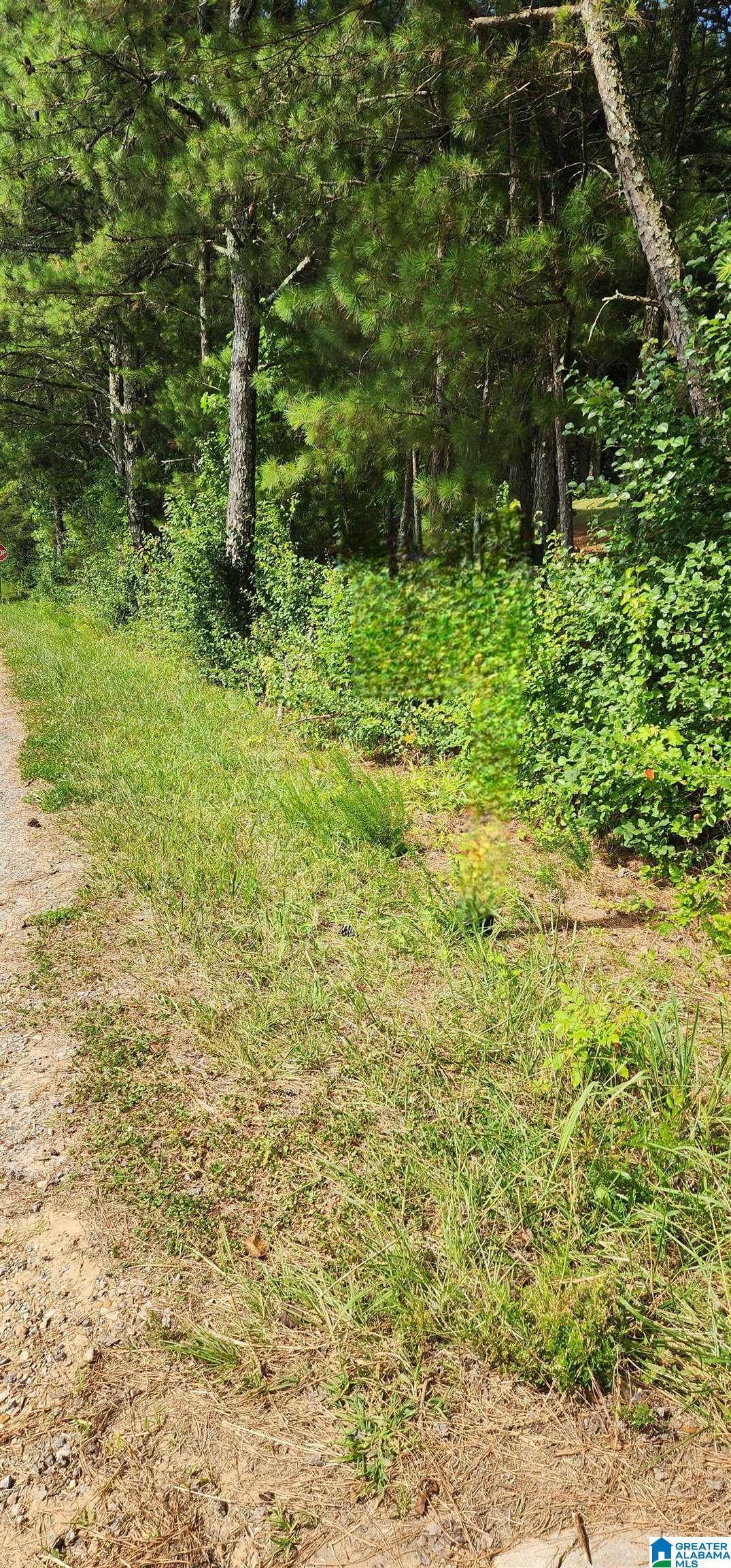 Lot 0 Hicks Road - Photo 1