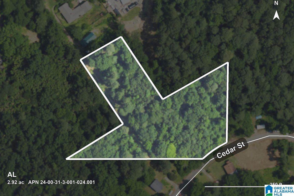 0 Cedar Street - Photo 1