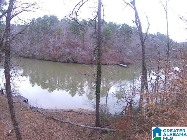 1716 County Road 465 - Photo 1