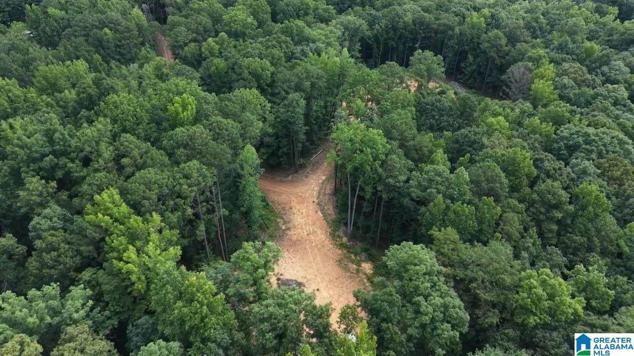 90 County Road 478 - Photo 1