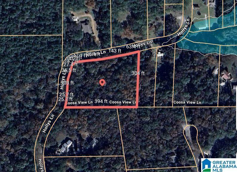 45 Coosa View Lane - Photo 1