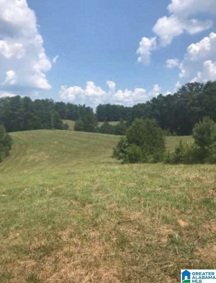 0 County Road 454 - Photo 1