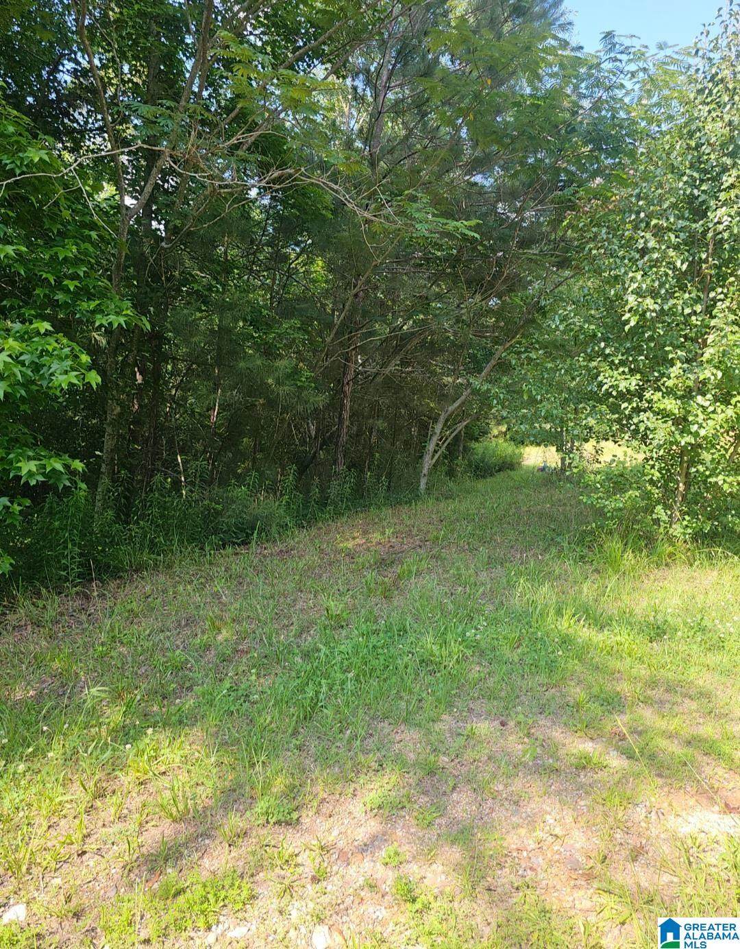 https://bt-photos.global.ssl.fastly.net/birmingham/orig_boomver_1_21458917-2.jpg