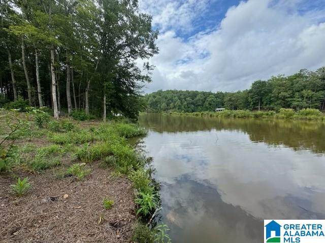 Lot 9 County Road 499 - Photo 1